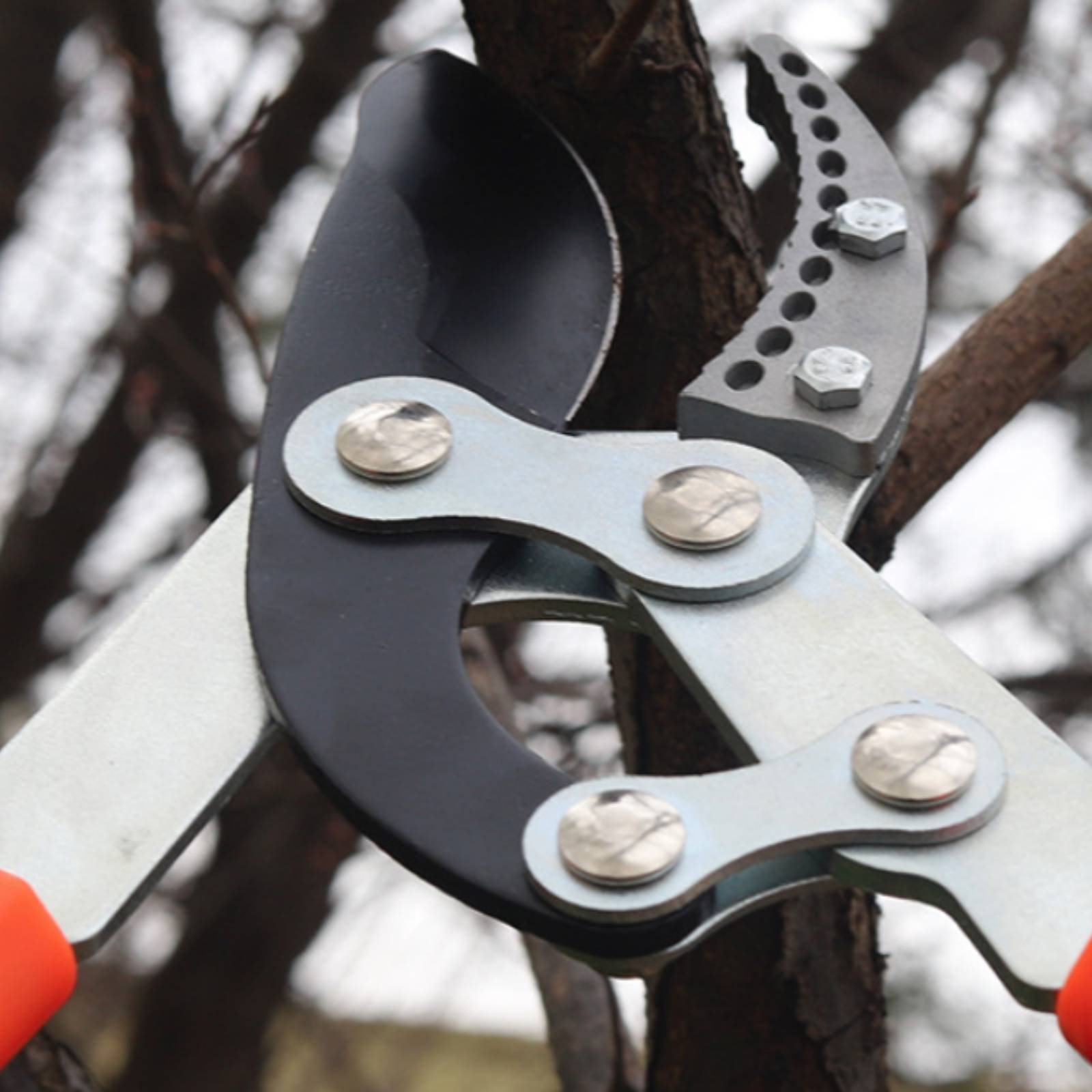 Telescopic Branch Pruners Shar - Garden Tools recension och pris